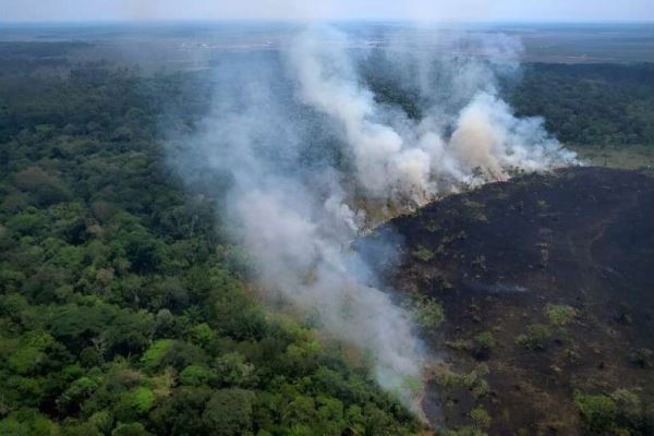 Лесные пожары в бразильской Амазонии достигли рекордных уровней